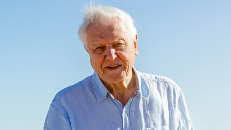 David Attenborough explores UK’s prehistoric era in new doc for BBC and PBS