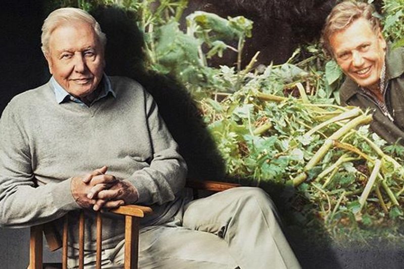 PBS joins Sir David Attenborough’s 100th birthday celebrations