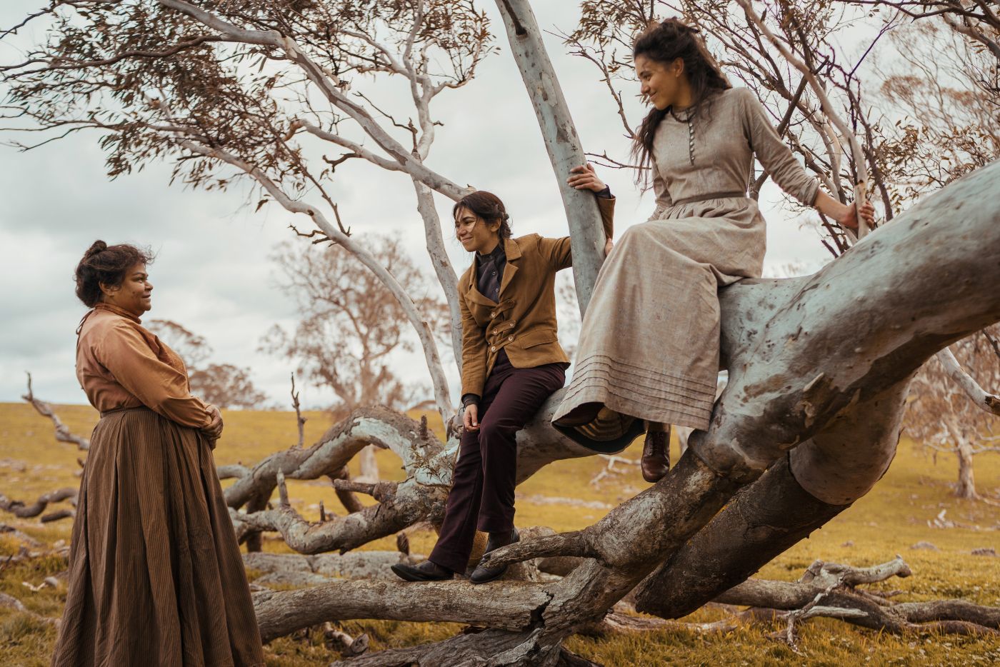 Three aboriginal women on a tree in the countryside